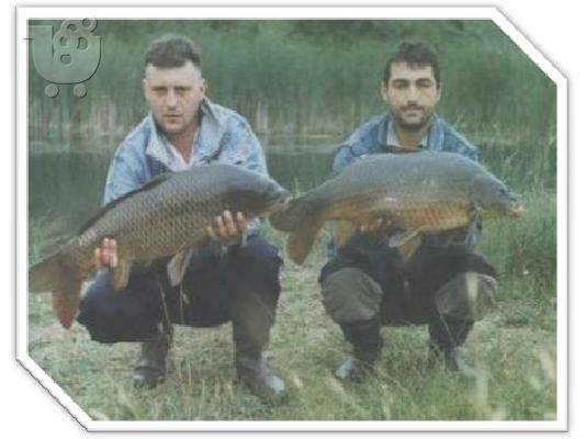 Electrofishing, електровъдица